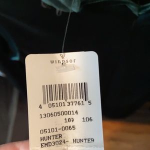 This is a Windsor hunter velvet dress. It’s brand new and still has its tag on!